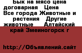 Бык на мясо цена договарная › Цена ­ 300 - Все города Животные и растения » Другие животные   . Алтайский край,Змеиногорск г.